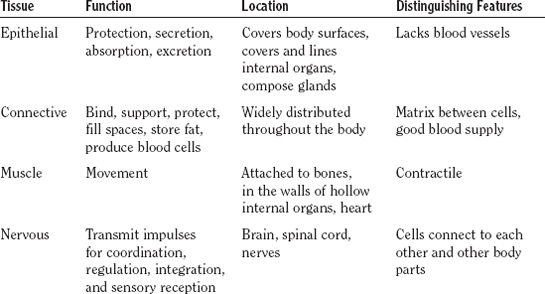 physical characteristics of humans characteristics of personality